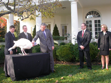 whitehouseturkey
